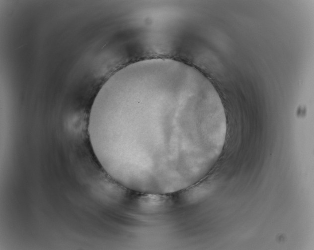 X0000101120672200807241201