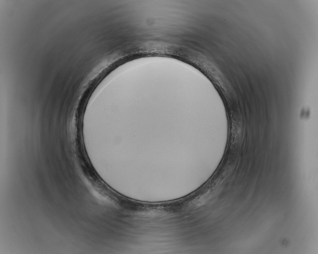 X0000101120674200807241200