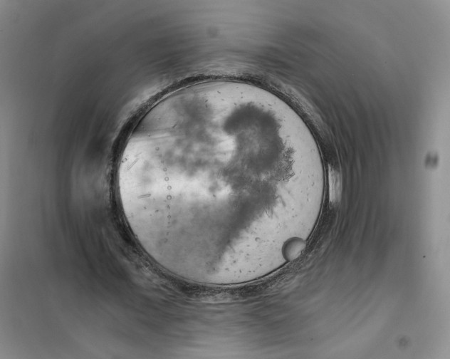 X0000101120675200807241200