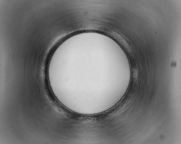 X0000101120676200807241200