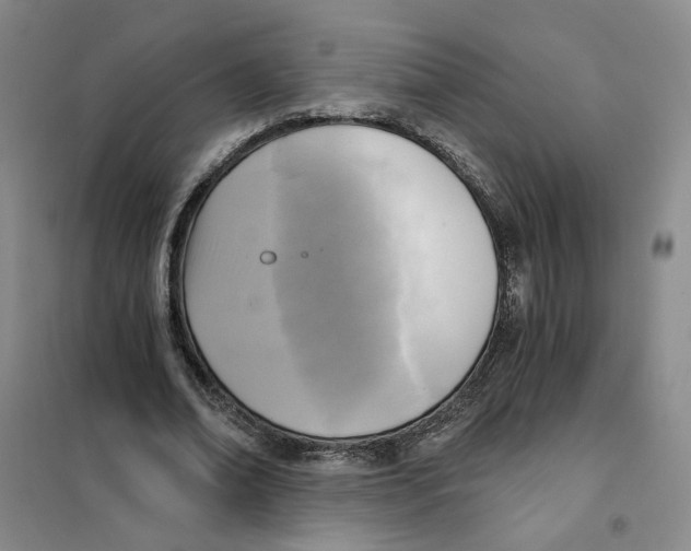 X0000101120678200807241200