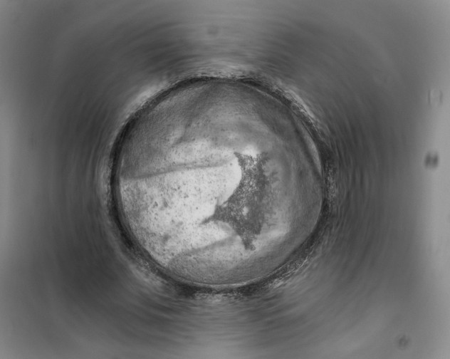 X0000101120679200807241200