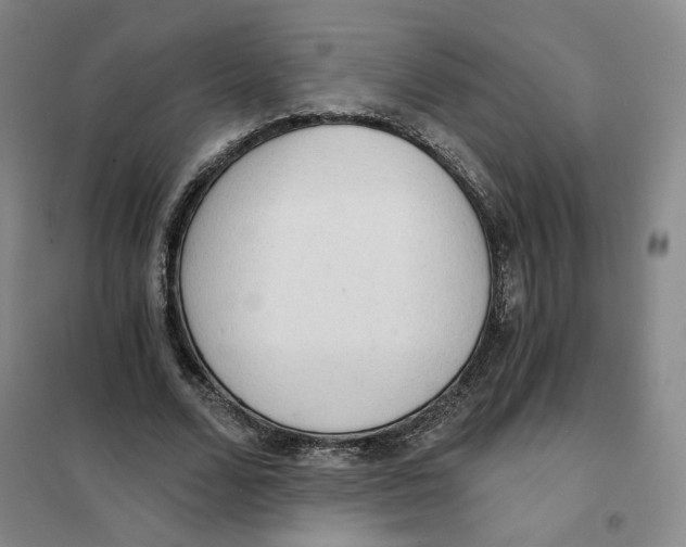 X0000101120680200807241200