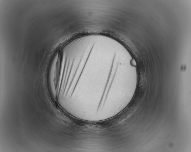 X0000101120681200807241200