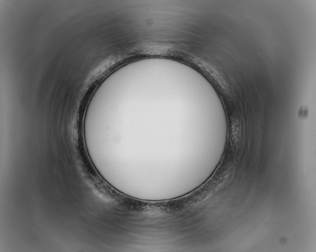 X0000101120682200807241200