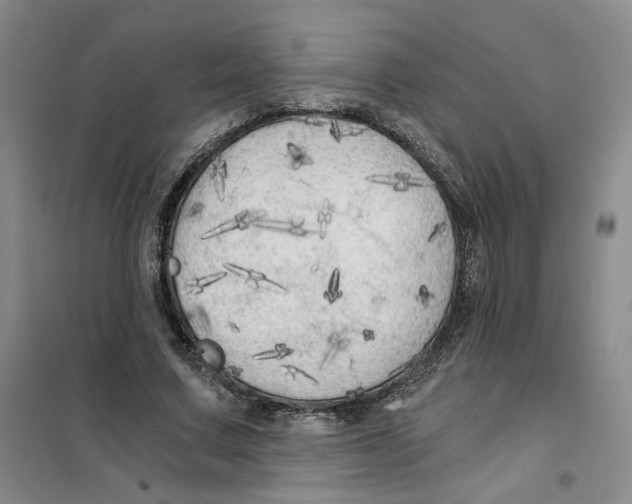 X0000101120683200807241200