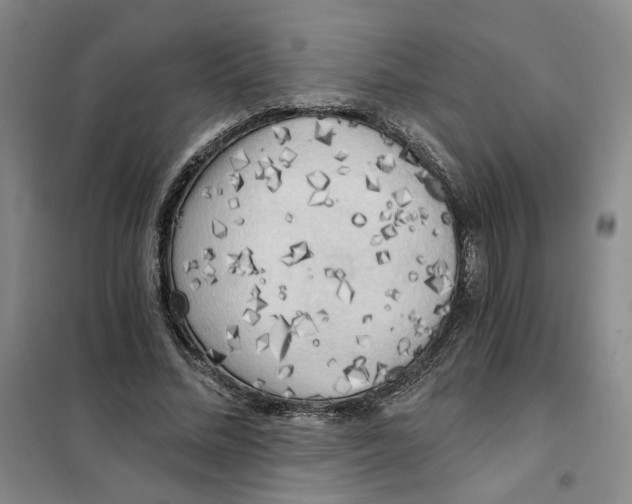 X0000101120684200807241200