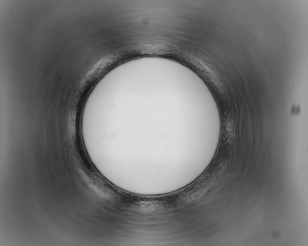 X0000101120686200807241200