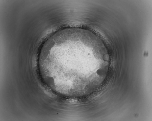 X0000101120687200807241200
