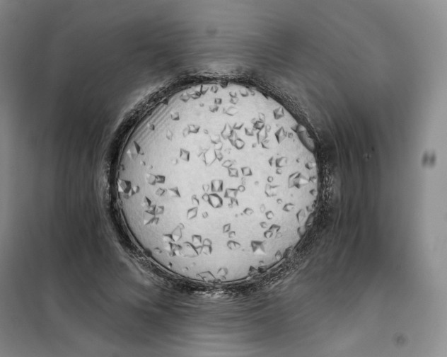X0000101120688200807241200