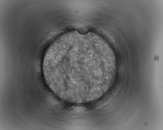 X0000101120689200807241200