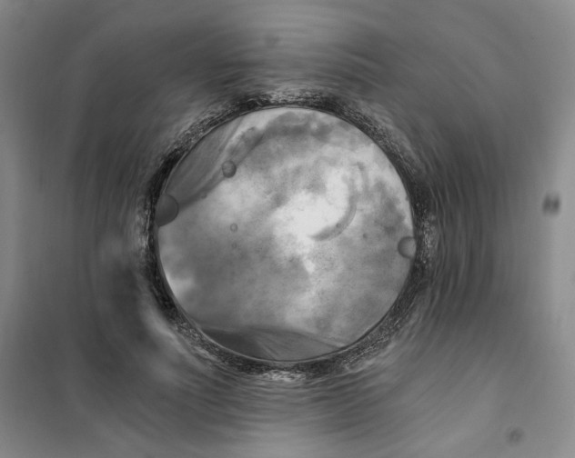 X0000101120691200807241200