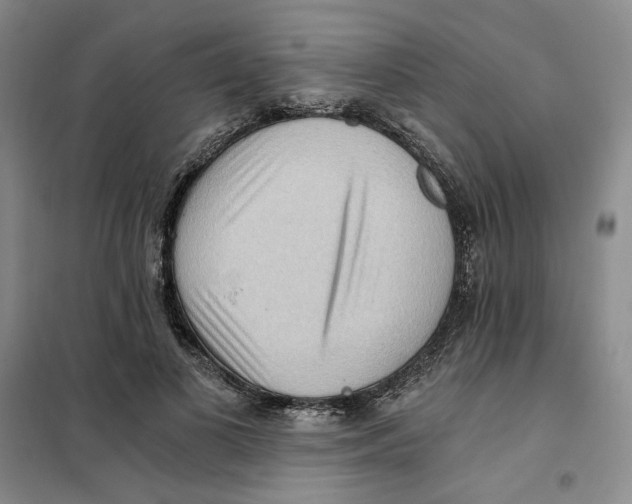 X0000101120693200807241200
