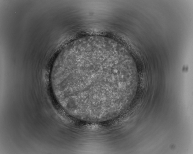 X0000101120695200807241200