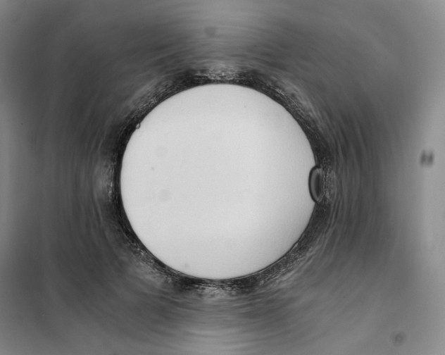 X0000101120697200807241200