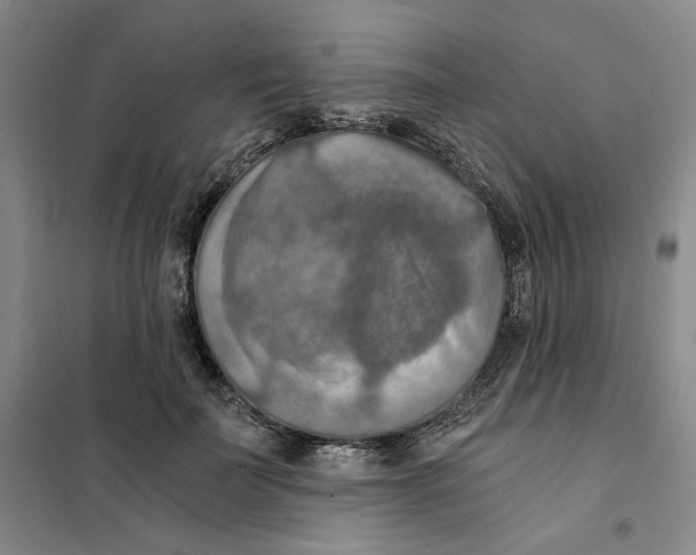 X0000101120699200807241159