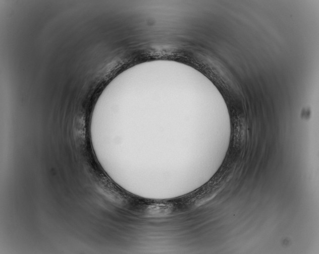 X0000101120700200807241159