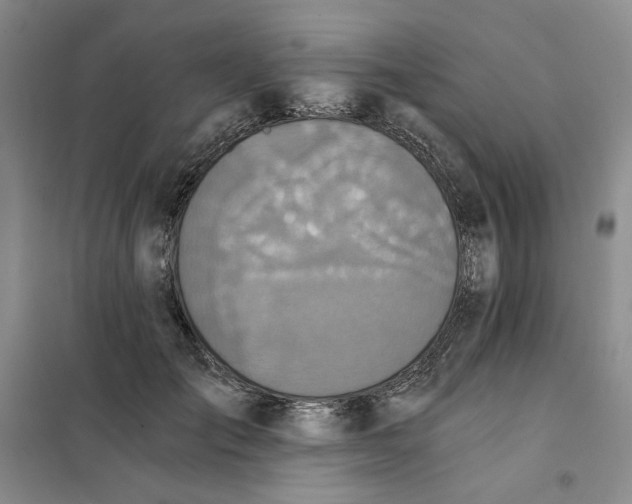 X0000101120701200807241159