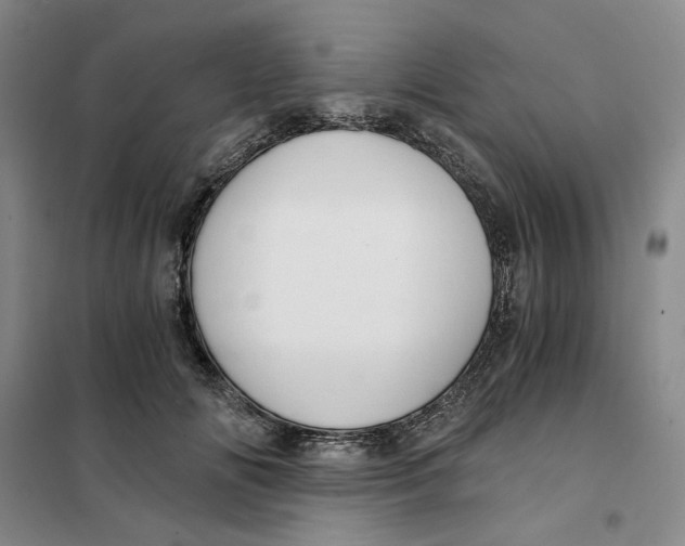 X0000101120702200807241159