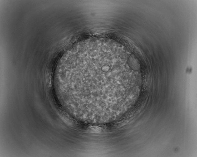 X0000101120703200807241159