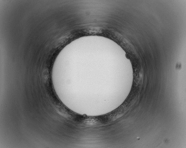 X0000101120704200807241159