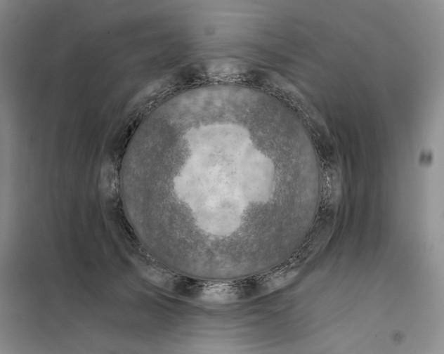 X0000101120705200807241159