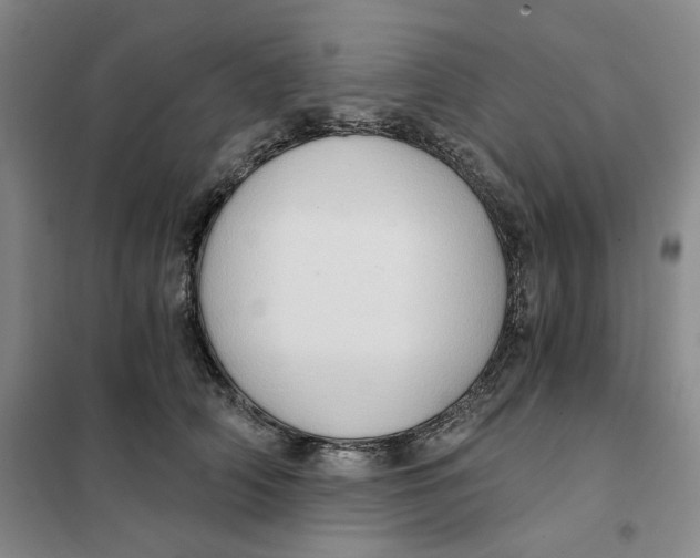 X0000101120706200807241159
