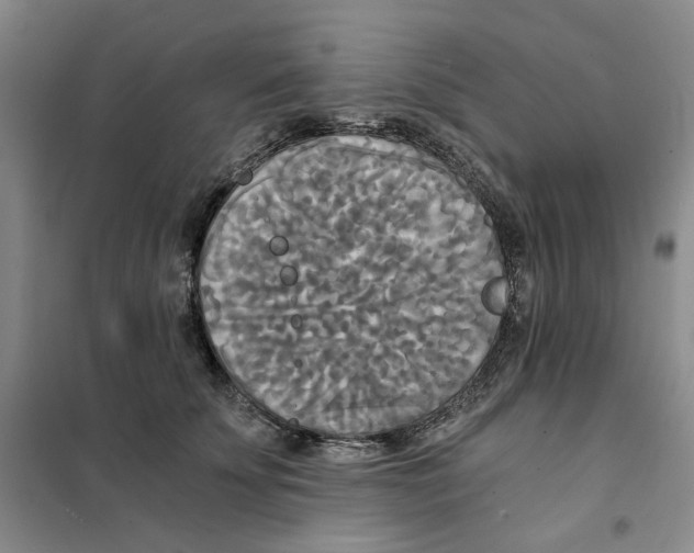 X0000101120707200807241159