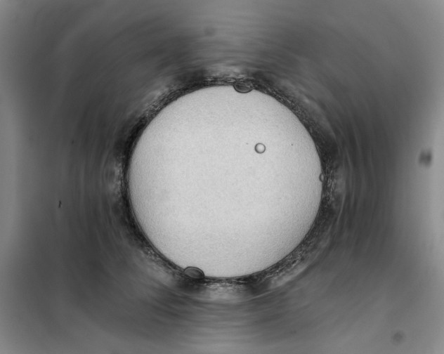 X0000101120708200807241159