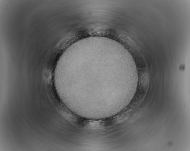 X0000101120709200807241159