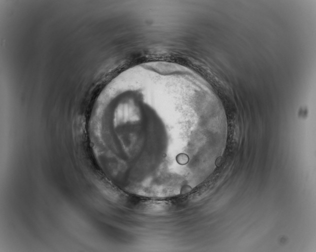 X0000101120711200807241159