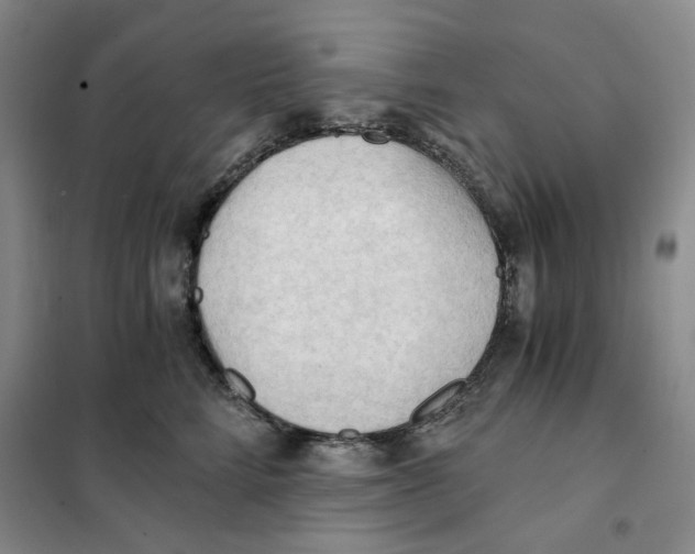 X0000101120712200807241159