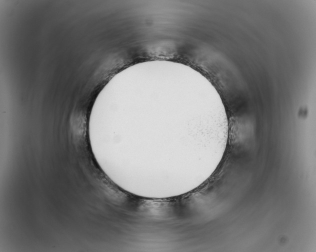 X0000101120713200807241159