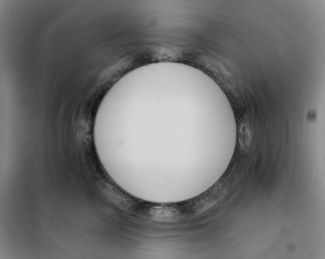 X0000101120714200807241159