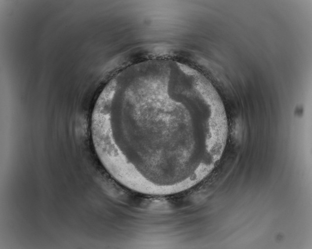 X0000101120715200807241159