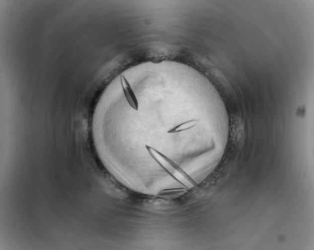 X0000101120716200807241159
