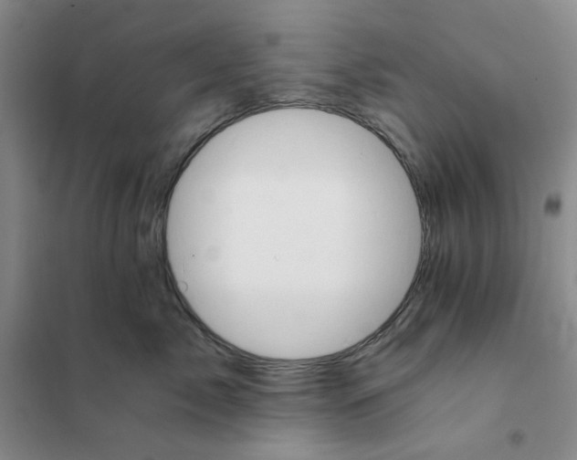 X0000101120717200807241159