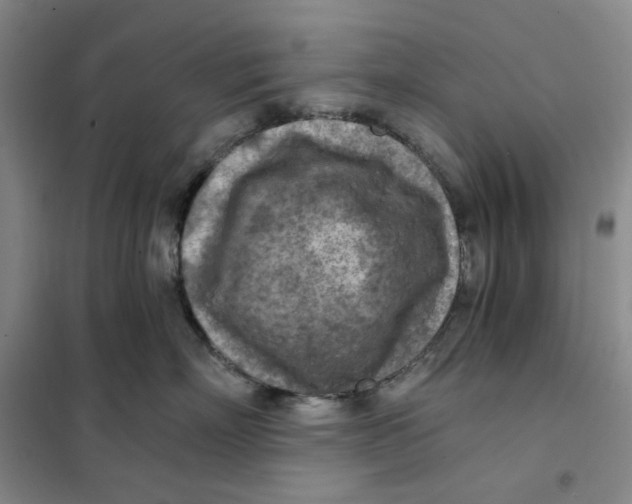 X0000101120718200807241159