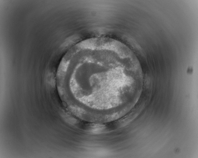 X0000101120719200807241159