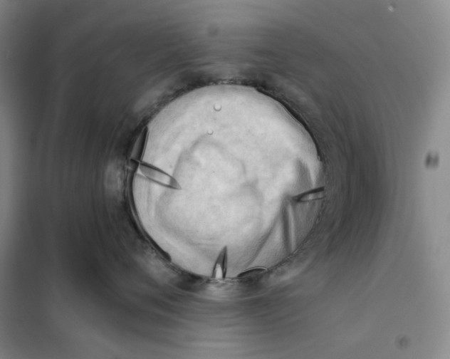 X0000101120720200807241159