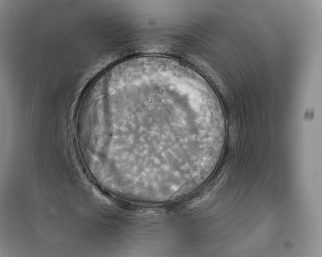X0000101120721200807241158