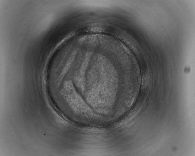 X0000101120722200807241158