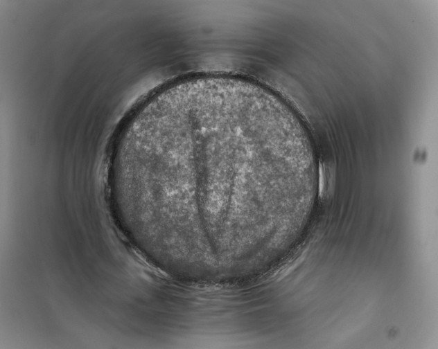X0000101120723200807241158