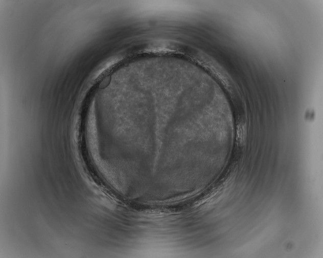 X0000101120724200807241158