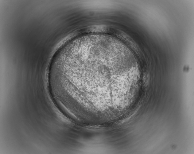 X0000101120725200807241158