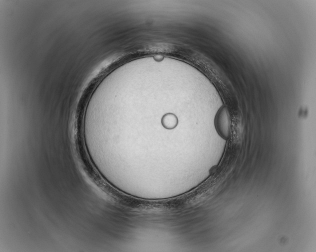 X0000101120726200807241158