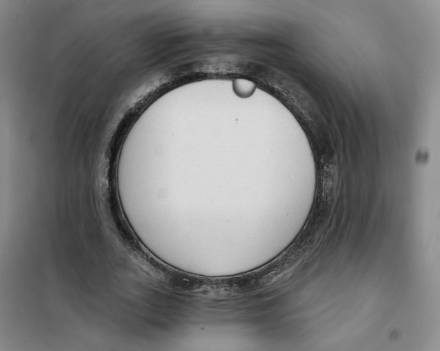 X0000101120727200807241158