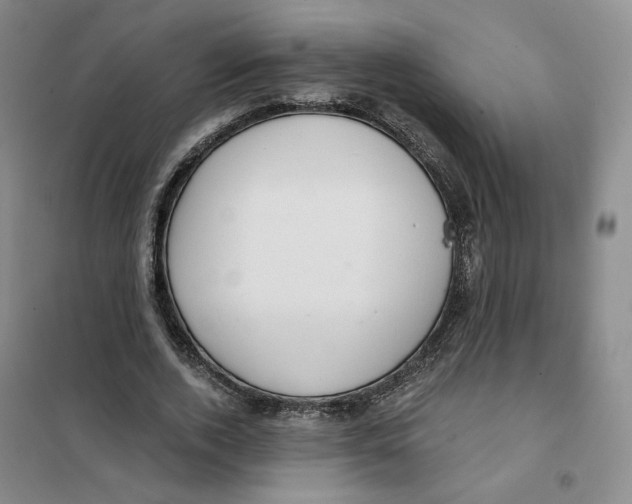 X0000101120728200807241158