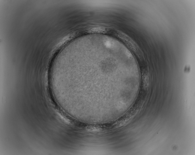 X0000101120729200807241158
