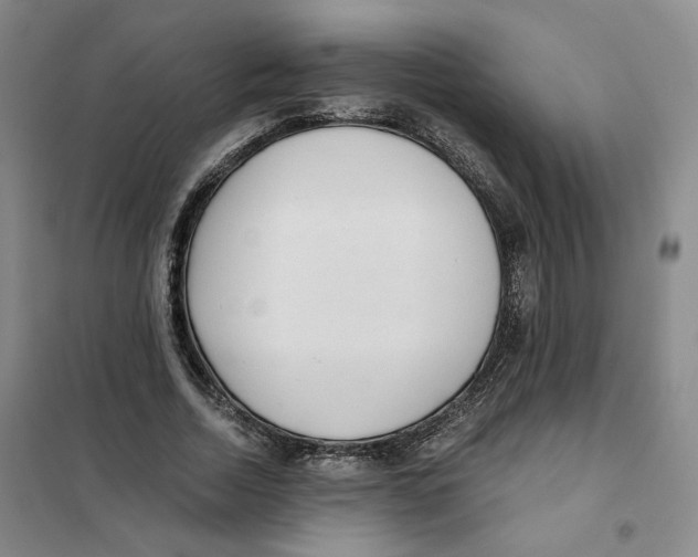 X0000101120730200807241158